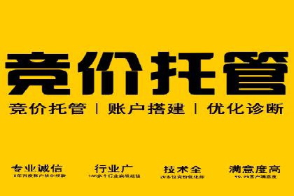 行业领先企业的SEM运营策略案例解析